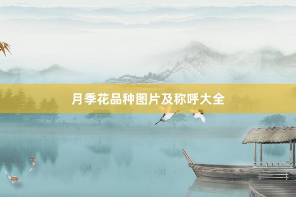 月季花品种图片及称呼大全