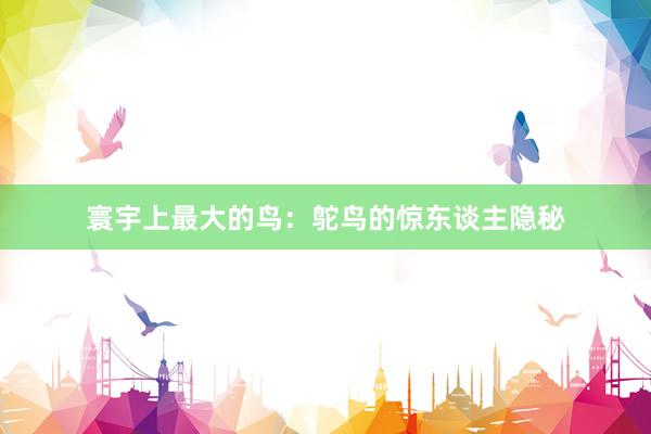 寰宇上最大的鸟：鸵鸟的惊东谈主隐秘