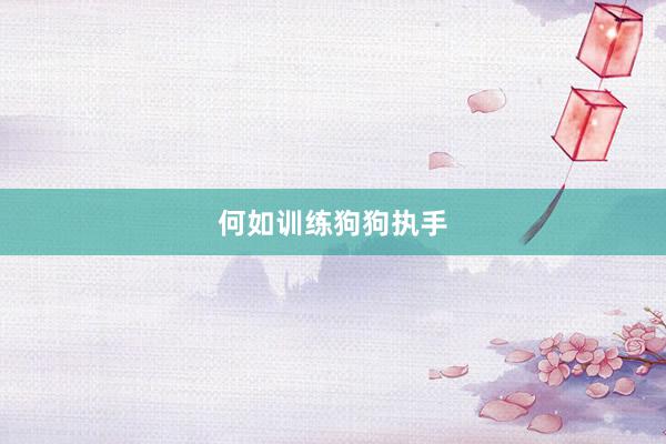 何如训练狗狗执手