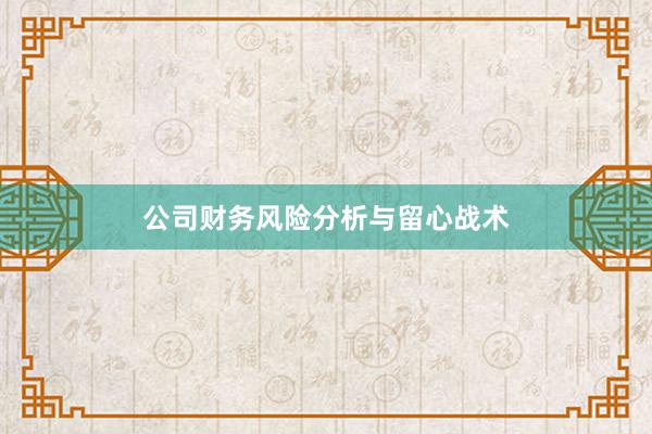 公司财务风险分析与留心战术
