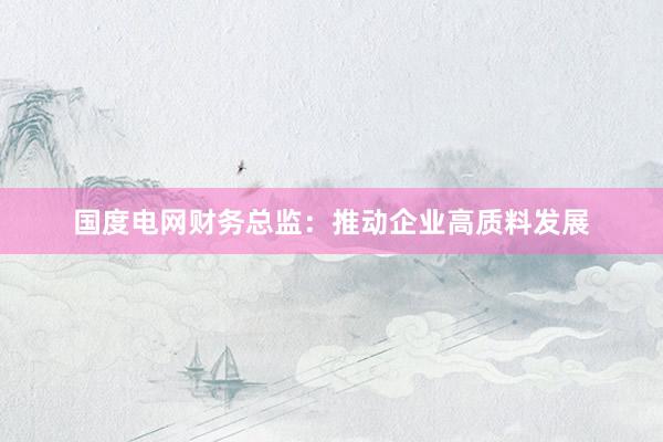 国度电网财务总监：推动企业高质料发展